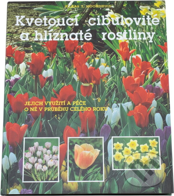 Kniha: Kvetoucí cibulovité a hlíznaté rostliny : jejich využití a péče o ně v průběhu celého roku (Klaas T. Noordhuis). Rebo, 1997 Kniha: Kvetoucí cibulovité a hlíznaté rostliny : jejich využití a péče o ně v průběhu celého roku (Klaas T. Noordhuis). Rebo, 1997