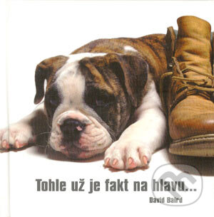 Kniha: Tohle už je fakt na hlavu... (David Baird). Metafora, 2005 Kniha: Tohle už je fakt na hlavu... (David Baird). Metafora, 2005