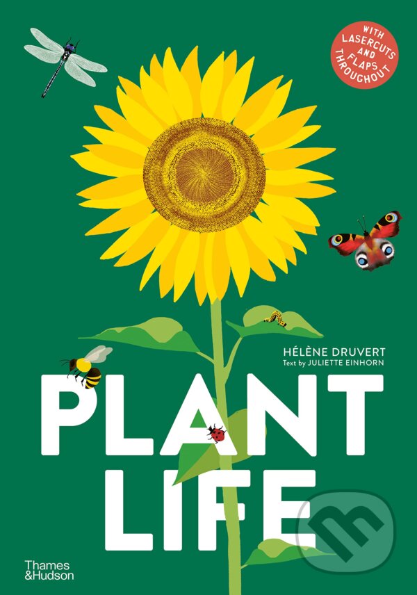 Kniha: Plant Life (Hélène Druvert). Thames & Hudson, 2023 Kniha: Plant Life (Hélène Druvert). Thames & Hudson, 2023