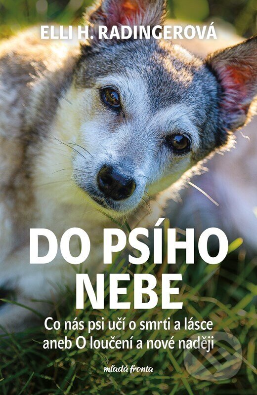 Kniha: Do psího nebe (Elli H. Radinger). Mladá fronta, 2023 Kniha: Do psího nebe (Elli H. Radinger). Mladá fronta, 2023