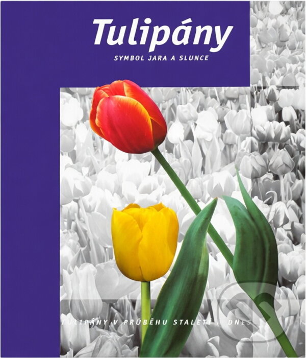 Kniha: Tulipány (Arend Jan van der Horst a Jan Bader). Rebo, 1999 Kniha: Tulipány (Arend Jan van der Horst a Jan Bader). Rebo, 1999