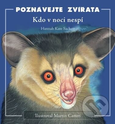 Kniha: Kdo v noci nespí (Hannah Kate Sackett). CPRESS, 2004 Kniha: Kdo v noci nespí (Hannah Kate Sackett). CPRESS, 2004