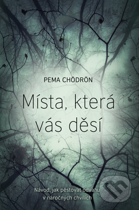 Kniha: Místa, která vás děsí (Pema Chödrön). Synergie, 2015 Kniha: Místa, která vás děsí (Pema Chödrön). Synergie, 2015