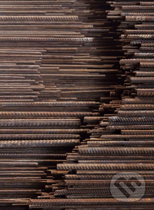 Kniha: Ai Weiwei (Hans Werner Holzwarth). Taschen, 2016 Kniha: Ai Weiwei (Hans Werner Holzwarth). Taschen, 2016