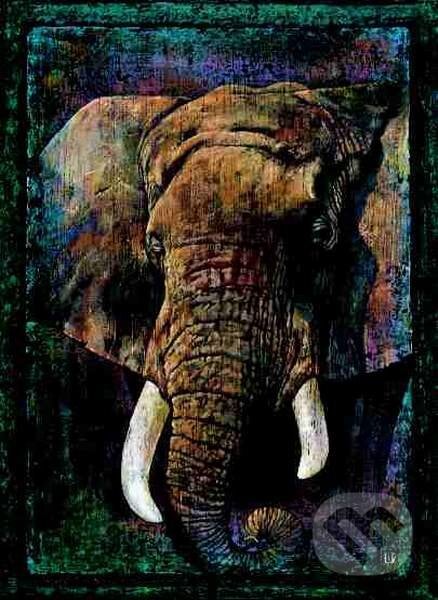Africký slon, Editions Ricordi, 2016