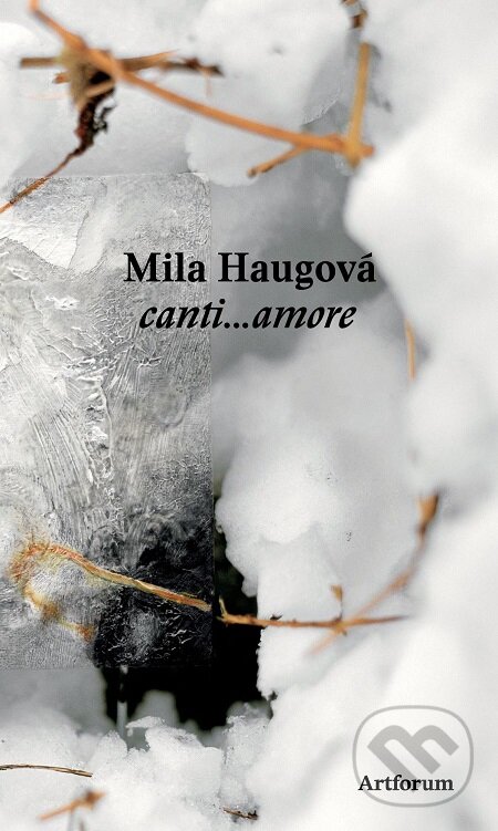 canti...amore - Mila Haugová, Artforum, 2015