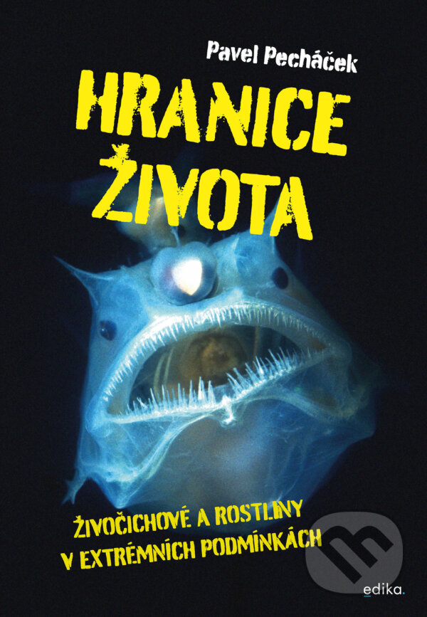 E-kniha: Hranice života (Pavel Pecháček). Edika, 2023 E-kniha: Hranice života (Pavel Pecháček). Edika, 2023