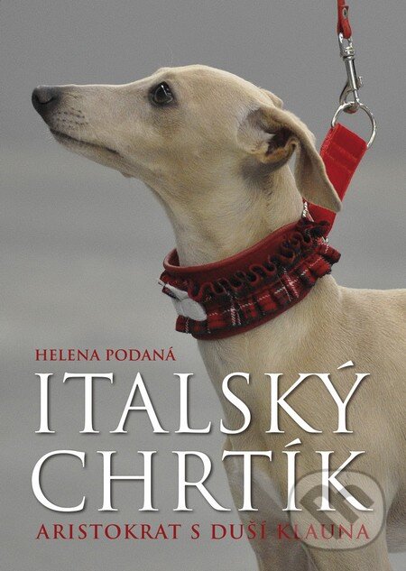 Kniha: Italský chrtík (Helena Podaná). BB/art, 2016 Kniha: Italský chrtík (Helena Podaná). BB/art, 2016