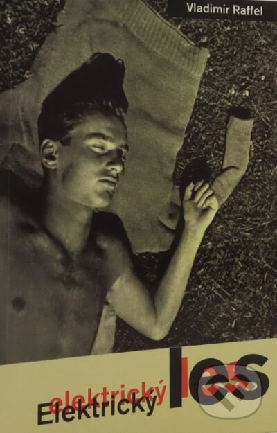 Kniha: Elektrický les (Vladimír Raffel). Český spisovatel, 1997 Kniha: Elektrický les (Vladimír Raffel). Český spisovatel, 1997
