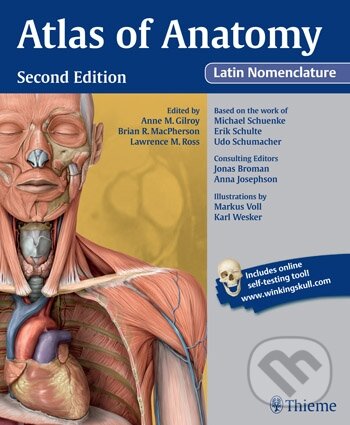 Atlas of Anatomy: Latin Nomenclature - Anne M. Gilroy a kol., Thieme, 2012