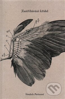 Kniha: Zastřihávání křídel (Vendula Pačesová). Jonathan Livingston, 2013 Kniha: Zastřihávání křídel (Vendula Pačesová). Jonathan Livingston, 2013