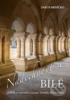 Kniha: Nadechnout se bílé (Jakub Brdíčko). Martin Leschinger-FLÉTNA, 2016 Kniha: Nadechnout se bílé (Jakub Brdíčko). Martin Leschinger-FLÉTNA, 2016