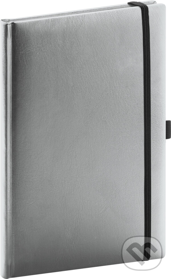 NOTIQUE Notes Balacron - strieborný, bodkovaný (Notique). Notique, 2024 NOTIQUE Notes Balacron - strieborný, bodkovaný (Notique). Notique, 2024