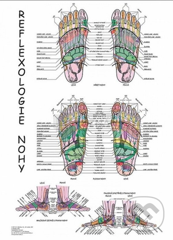 Mapa - Reflexologie nohy (Radomír Růžička). Poznání, 2019 Mapa - Reflexologie nohy (Radomír Růžička). Poznání, 2019