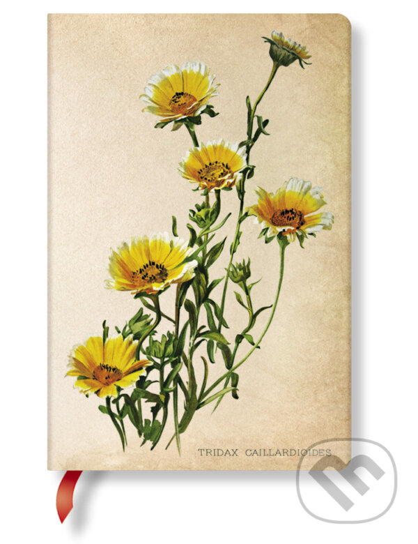 Paperblanks - zápisník Woodland Daisies (Paperblanks). Paperblanks, 2017 Paperblanks - zápisník Woodland Daisies (Paperblanks). Paperblanks, 2017