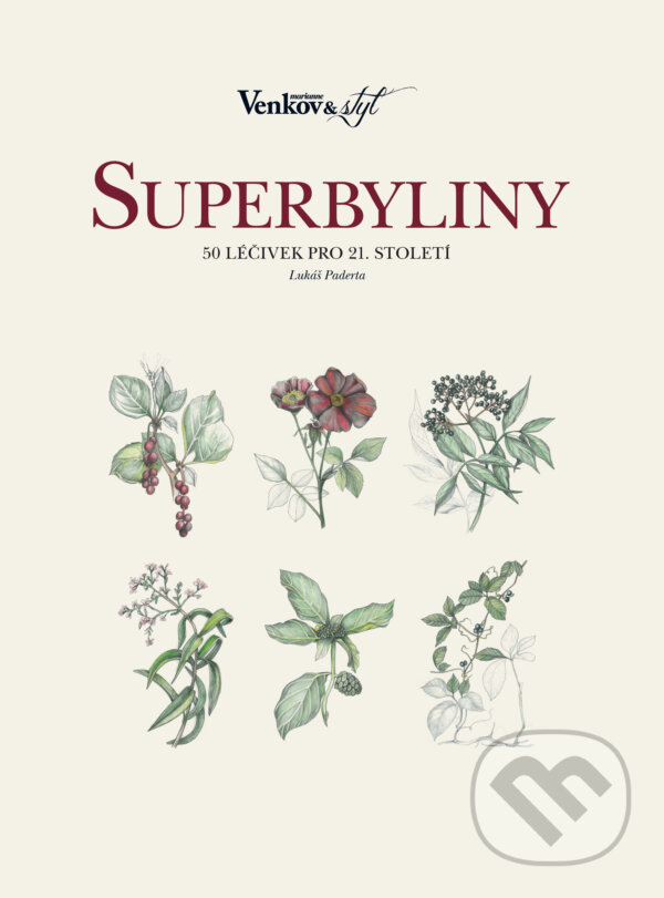 Kniha: Superbyliny (Lukáš Paderta). BURDA Media 2000, 2017 Kniha: Superbyliny (Lukáš Paderta). BURDA Media 2000, 2017