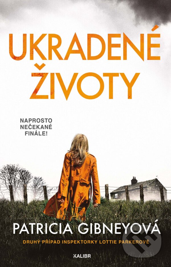 E-kniha: Ukradené životy (Patricia Gibneyová). Kalibr, 2024 E-kniha: Ukradené životy (Patricia Gibneyová). Kalibr, 2024