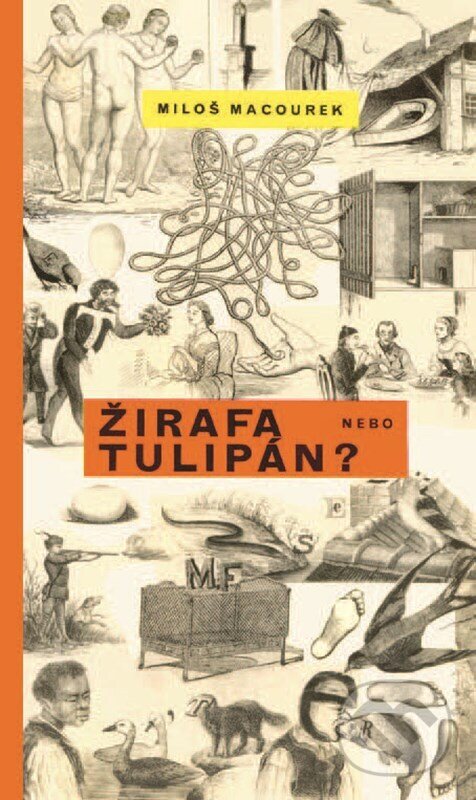 Kniha: Žirafa nebo tulipán (Miloš Macourek). Mladá fronta, 2024 Kniha: Žirafa nebo tulipán (Miloš Macourek). Mladá fronta, 2024