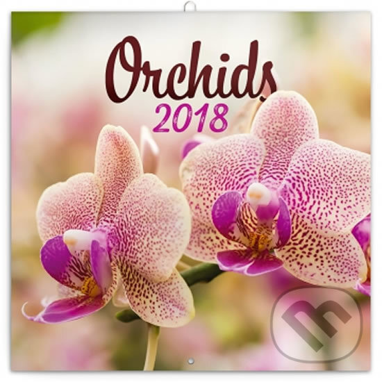 Kalendář poznámkový 2018 - Orchideje, Presco Group, 2017