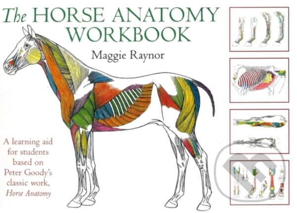 Kniha: Horse Anatomy Workbook (Maggie Raynor). , 2006 Kniha: Horse Anatomy Workbook (Maggie Raynor). , 2006