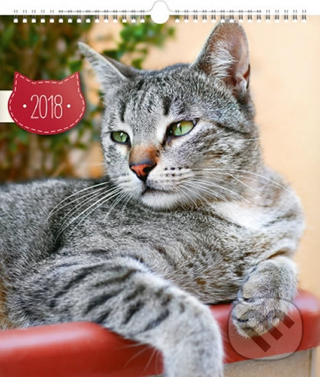 Kalendář nástěnný 2018 - Kočky, Presco Group, 2017