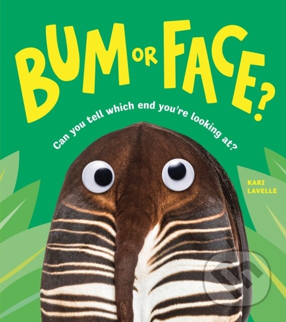 Kniha: Bum or Face (Kari Lavelle). , 2023 Kniha: Bum or Face (Kari Lavelle). , 2023