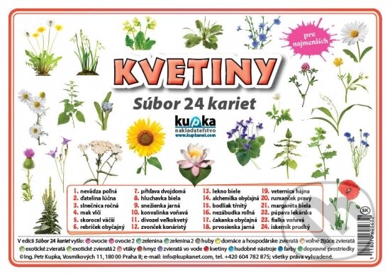 Kniha: Súbor 24 kariet - Kvetiny (Petr Kupka). Kupka, 2017 Kniha: Súbor 24 kariet - Kvetiny (Petr Kupka). Kupka, 2017