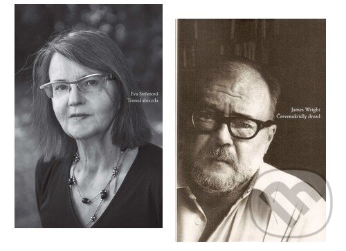 Kniha: Temná abeceda + darček zadarmo (Eva Ström). Skalná ruža, 2017 Kniha: Temná abeceda + darček zadarmo (Eva Ström). Skalná ruža, 2017