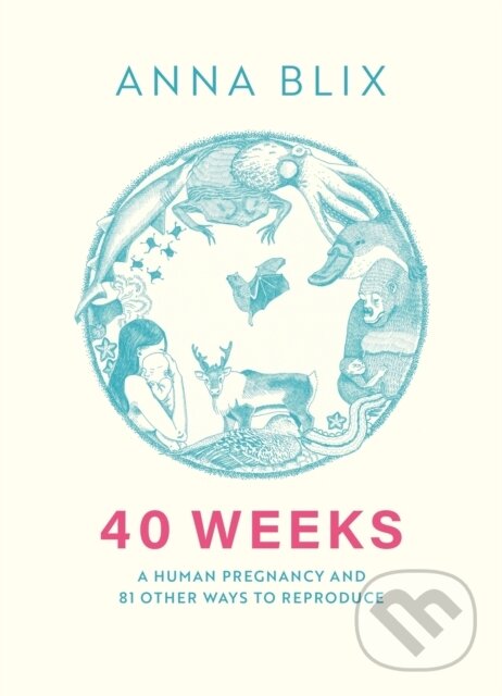 Kniha: 40 Weeks (Anna Blix). MacLehose Press, 2025 Kniha: 40 Weeks (Anna Blix). MacLehose Press, 2025