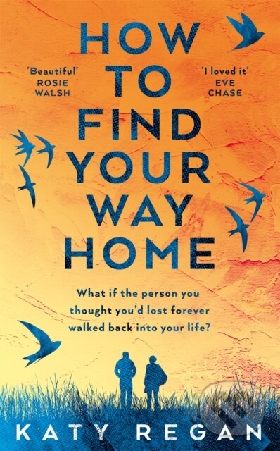 Kniha: How To Find Your Way Home (Katy Regan). Mantle, 2022 Kniha: How To Find Your Way Home (Katy Regan). Mantle, 2022