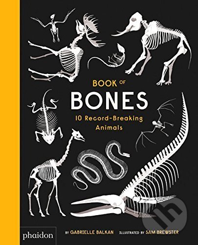 Kniha: Book of Bones (Gabrielle Balkan). Phaidon, 2017 Kniha: Book of Bones (Gabrielle Balkan). Phaidon, 2017