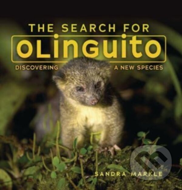 Kniha: The Search for Olinguito (Sandra Markle). Lerner Publishing Group, 2022 Kniha: The Search for Olinguito (Sandra Markle). Lerner Publishing Group, 2022