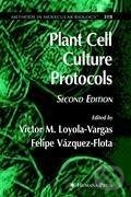 Kniha: Plant Cell Culture Protocols (Felipe Vázquez-Flota). Humana Press, 2005 Kniha: Plant Cell Culture Protocols (Felipe Vázquez-Flota). Humana Press, 2005