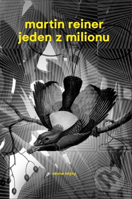 Jeden z milionu - Martin Reiner, Větrné mlýny, 2016
