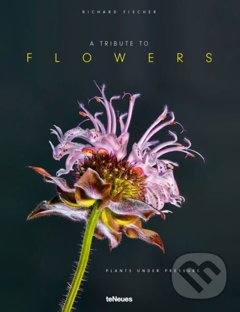Kniha: Tribute to Flowers (Richard Fischer). Te Neues, 2018 Kniha: Tribute to Flowers (Richard Fischer). Te Neues, 2018
