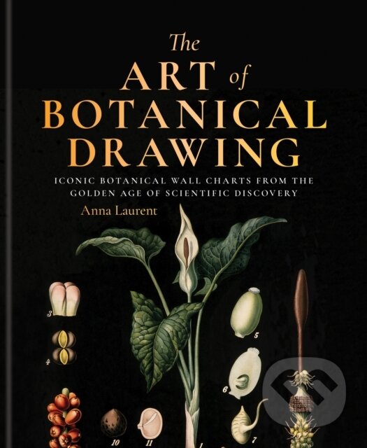 Kniha: The Art of Botanical Drawing (Anna Laurent). Octopus Publishing Group, 2016 Kniha: The Art of Botanical Drawing (Anna Laurent). Octopus Publishing Group, 2016