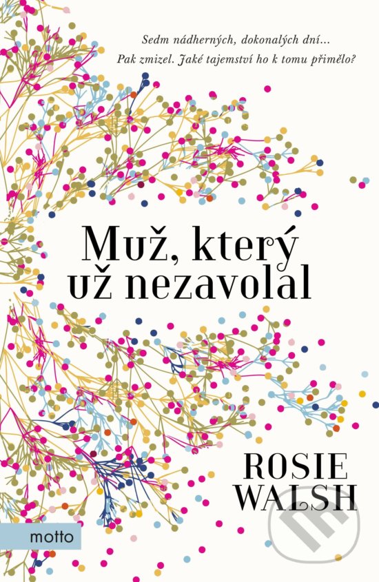 Kniha: Muž, který už nezavolal (Rosie Walsh). Motto, 2018 Kniha: Muž, který už nezavolal (Rosie Walsh). Motto, 2018