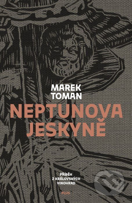 Kniha: Neptunova jeskyně (Marek Toman). Plus, 2018 Kniha: Neptunova jeskyně (Marek Toman). Plus, 2018