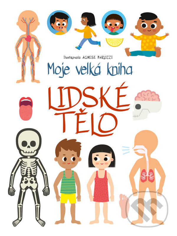 Kniha: Moje velká kniha: lidské tělo (Drobek). Drobek, 2025 Kniha: Moje velká kniha: lidské tělo (Drobek). Drobek, 2025