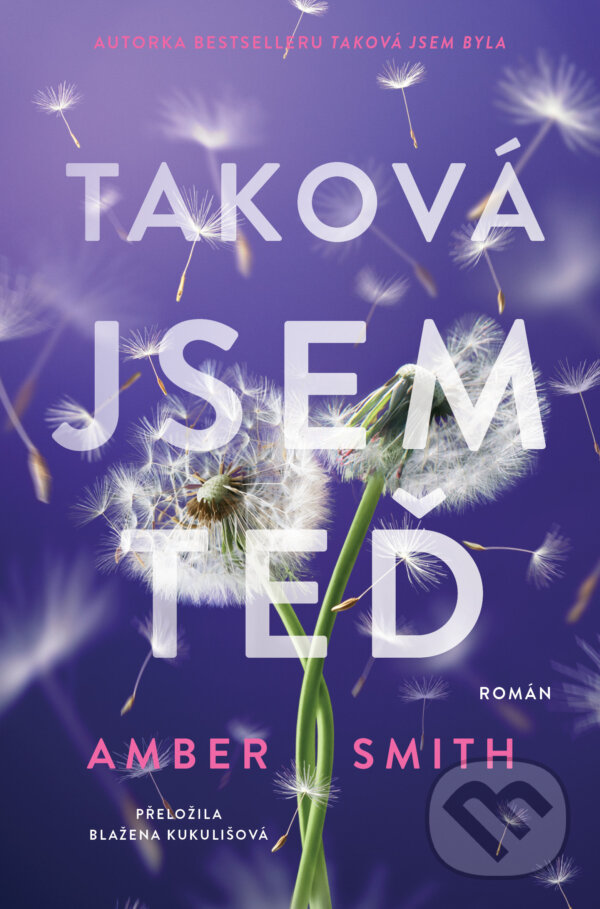 Kniha: Taková jsem teď (Amber Smith). King Cool, 2025 Kniha: Taková jsem teď (Amber Smith). King Cool, 2025