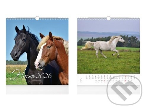 Nástěnný kalendář Horses 2026 (MFP). MFP, 2025 Nástěnný kalendář Horses 2026 (MFP). MFP, 2025