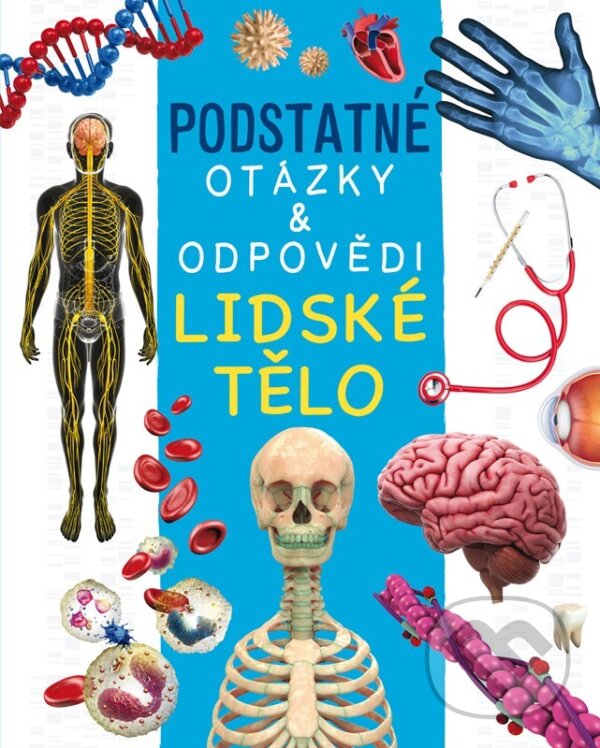 Kniha: Lidské tělo (Nicola Deschamps a Rebecca Kealy). Rebo, 2025 Kniha: Lidské tělo (Nicola Deschamps a Rebecca Kealy). Rebo, 2025