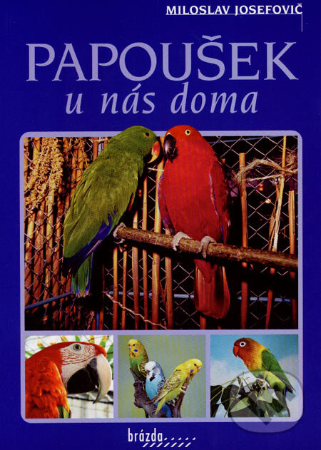 Kniha: Papoušek u nás doma (Miloslav Josefovič). Brázda, 2007 Kniha: Papoušek u nás doma (Miloslav Josefovič). Brázda, 2007