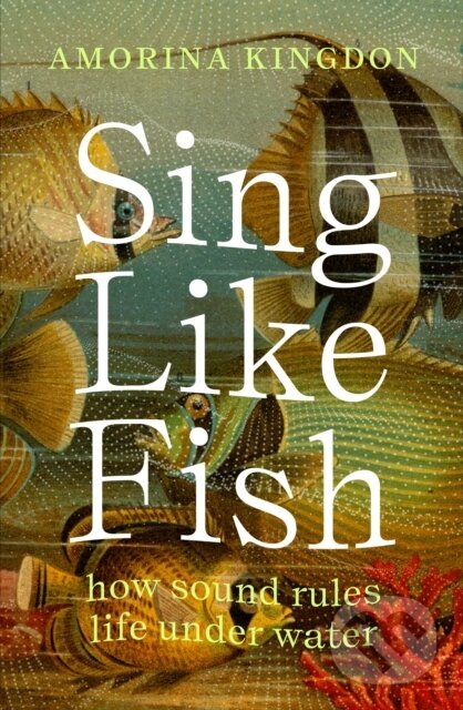 Kniha: Sing Like Fish (Amorina Kingdon). Scribe Publications, 2024 Kniha: Sing Like Fish (Amorina Kingdon). Scribe Publications, 2024