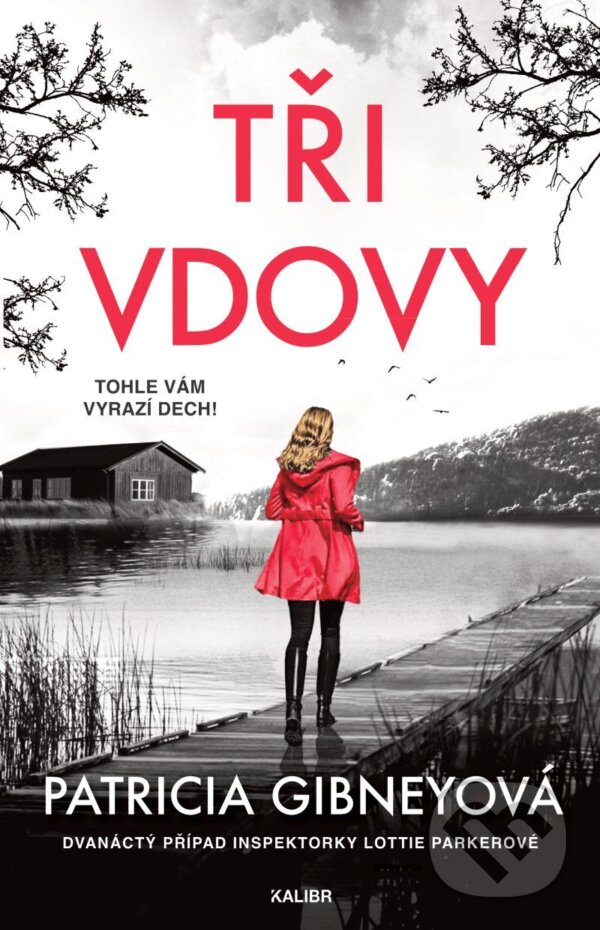 E-kniha: Tři vdovy (Patricia Gibneyová). Kalibr, 2025 E-kniha: Tři vdovy (Patricia Gibneyová). Kalibr, 2025