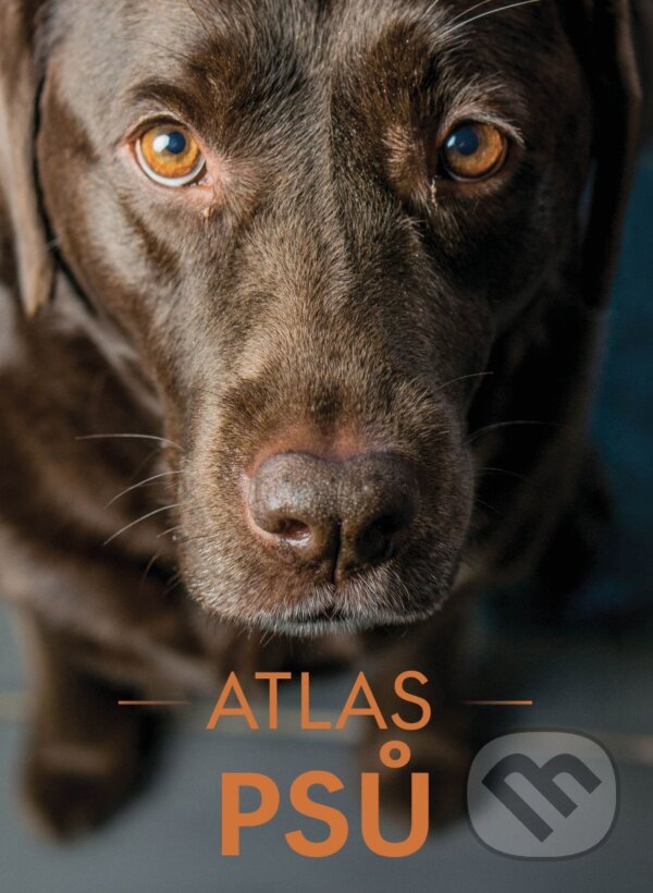 Kniha: Atlas psů (Izabela Przeczek). Bookmedia, 2026 Kniha: Atlas psů (Izabela Przeczek). Bookmedia, 2026