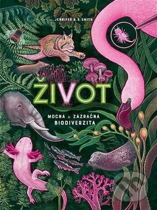 Kniha: Život (Jennifer N. R. Smith). Drobek, 2026 Kniha: Život (Jennifer N. R. Smith). Drobek, 2026