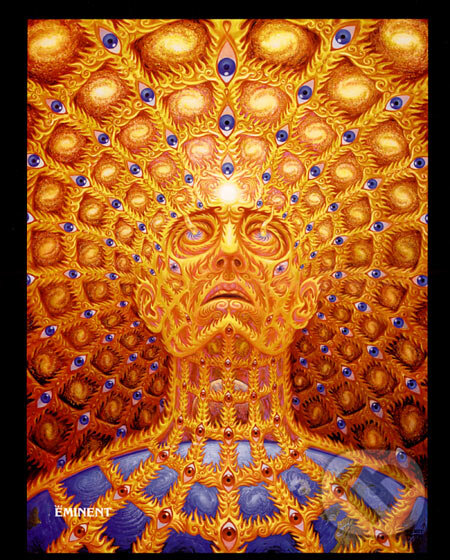 Kniha: Transfigurace (Alex Grey). Eminent, 2006 Kniha: Transfigurace (Alex Grey). Eminent, 2006