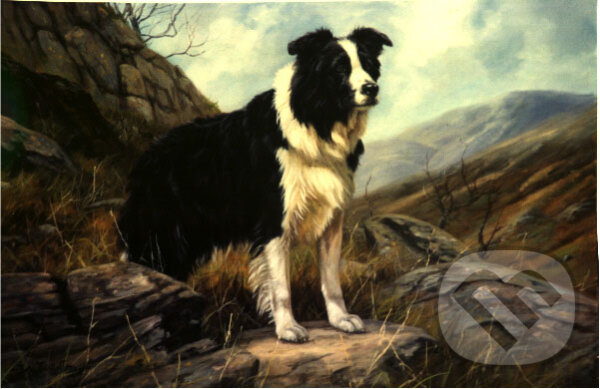 Puzzle: Border Collie On Hillside (Crown & Andrews). Crown & Andrews Puzzle: Border Collie On Hillside (Crown & Andrews). Crown & Andrews
