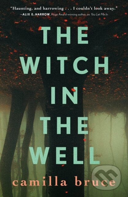 Kniha: The Witch in the Well (Camilla Bruce). Tor Books, 2023 Kniha: The Witch in the Well (Camilla Bruce). Tor Books, 2023